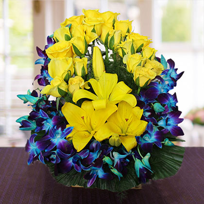 Garnish Your Home And Garden Area With These Stunning Blue Flowers